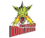 logo Artland Dragons