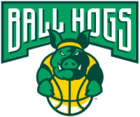 logo Ball Hogs
