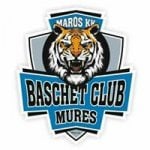 logo BC Mures