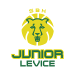 logo Junior Levice