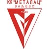 logo Metalac Valjevo