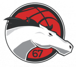 logo Leicester Riders