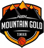 logo NSH Mountain Gold