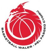 logo Team Basketball Wales