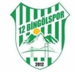 logo 12 Bingolspor