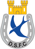 logo Dungannon