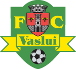 logo Vaslui