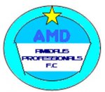 logo Amidaus Professionals