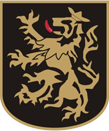 logo Bankstown City Lions