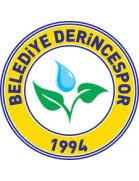logo Belediye Derincespor