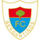 logo Bergantinos