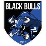logo Black Bulls Maputo