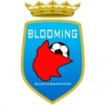 logo Blooming De Guayaramerin