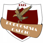 logo Borgosesia