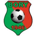 logo Bory Pietrzykowice