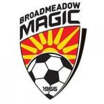 logo Broadmeadow Magic