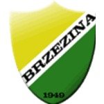 logo Brzezina Osiek