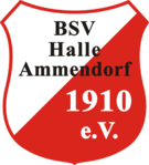 logo BSV Halle-Ammendorf