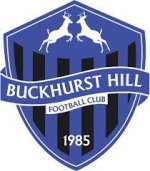 logo Buckhurst Hill