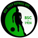 logo Budaorsi SC