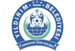 logo Bursa Yildirim Spor