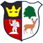 logo Cinderford Town