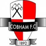 logo Cobham