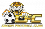 logo Cooma Tigers