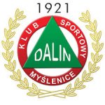 logo Dalin Myslenice