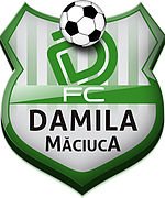 logo Damila Maciuca
