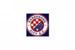 logo Dandenong City