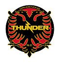 logo Dandenong Thunder