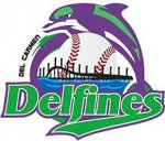 logo Delfines Del Carmen