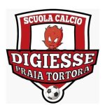logo Digiesse PraiaTortora