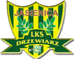 logo Drzewiarz Jasienica