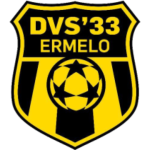 logo DVS 33