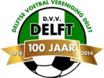 logo DVV Delft