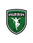 logo Efeler 09