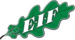 logo EIF/Akademi