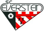 logo Everstein
