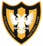 logo Falmouth Town