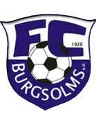 logo FC Burgsolms
