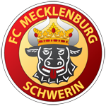 logo FC Mecklenburg Schwerin
