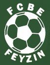 logo Feyzin CBE
