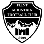 logo Flint Mountain