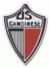 logo Gandinese