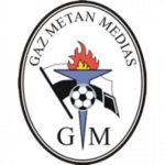 logo Gaz Metan Medias