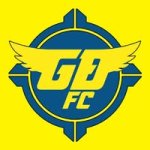 logo Gia Dinh