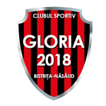 logo Gloria Bistrita-Nasaud