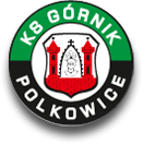 logo Górnik Polkowice